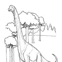 Desenhos para colorir Dinossauros