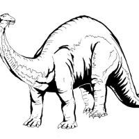 Desenhos para colorir Dinossauros