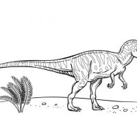 Desenhos para colorir Dinossauros