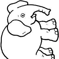 Desenhos para colorir Elefantes