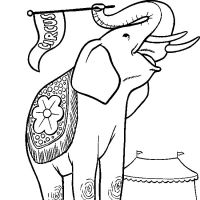 Desenhos para colorir Elefantes