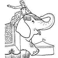 Desenhos para colorir Elefantes