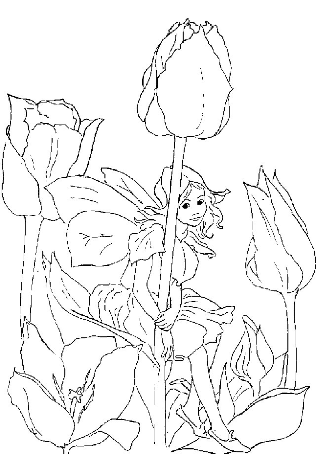 Desenho para colorir