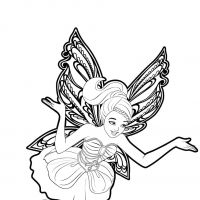 Desenhos para colorir Fadas