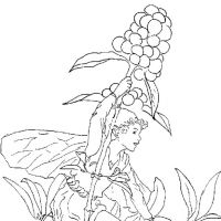 Fadas