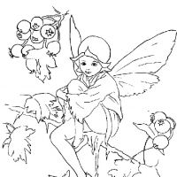 Desenhos para colorir Fadas