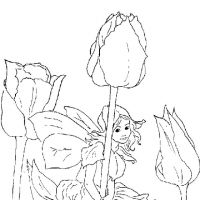 Desenhos para colorir Fadas