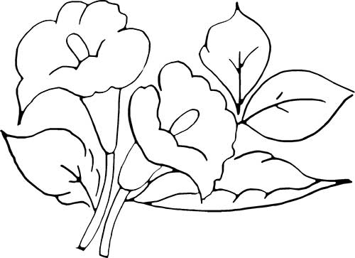 Desenho para colorir