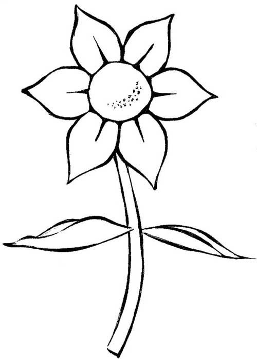 Desenho para colorir