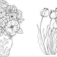 Flores