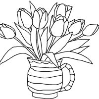 Flores