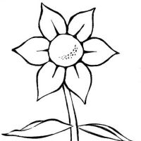 Desenhos para colorir Flores