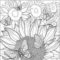Desenhos para colorir Flores