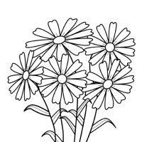 Desenhos para colorir Flores