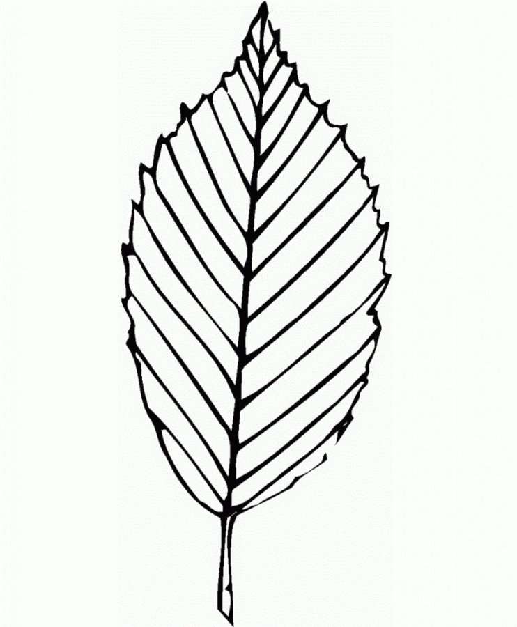 Desenho para imprimir
