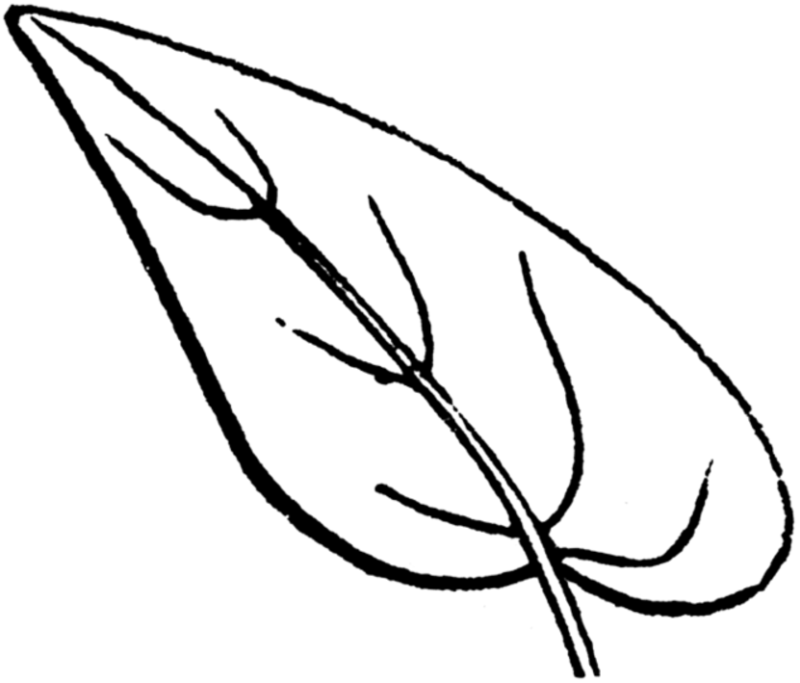 Desenho para imprimir