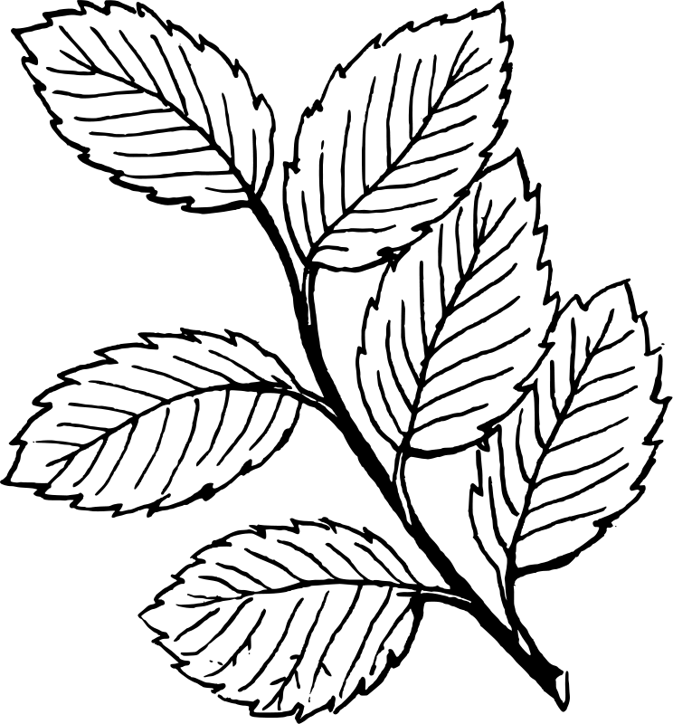 Desenho para imprimir