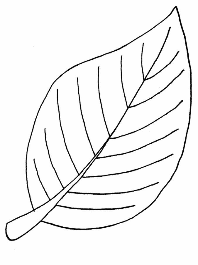 Desenho para colorir