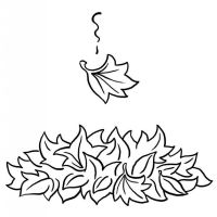 Desenhos para colorir Folhas