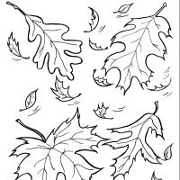 Desenhos para colorir Folhas