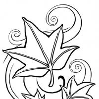 Desenhos para colorir Folhas