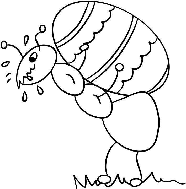 Desenho para colorir