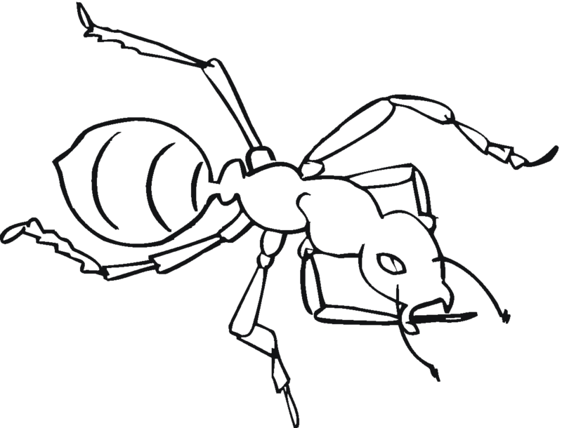 Desenho para imprimir