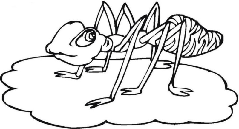 Desenho para colorir