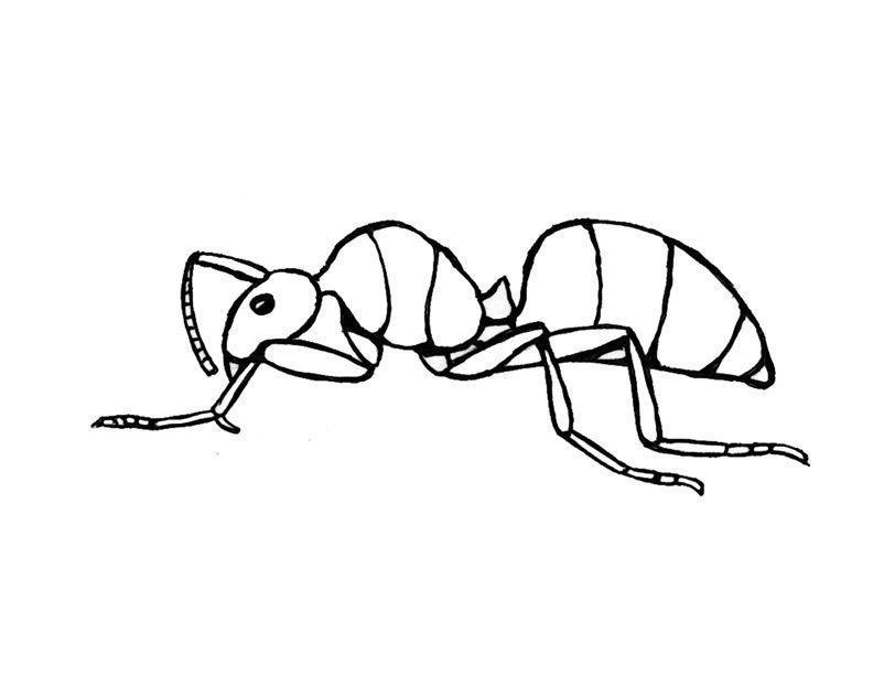 Desenho para imprimir