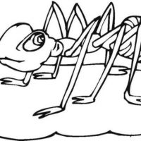 Desenhos para colorir Formigas