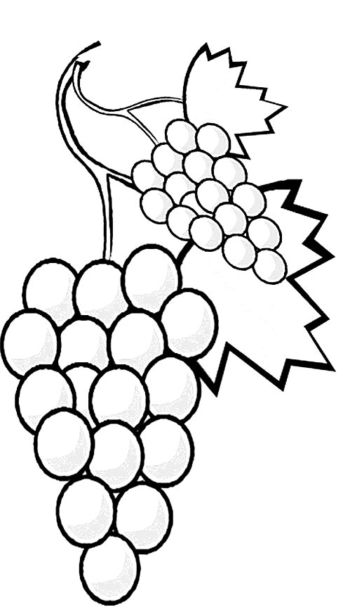 Desenho para colorir