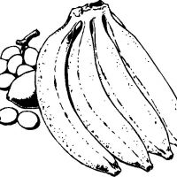 Desenhos para colorir Frutas