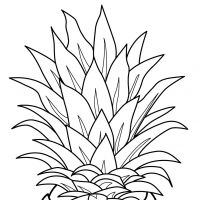 Desenhos para colorir Frutas