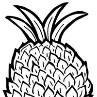 Desenhos para colorir Frutas