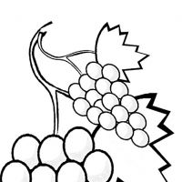 Desenhos para colorir Frutas