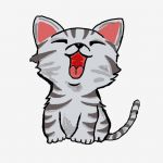 Gatos