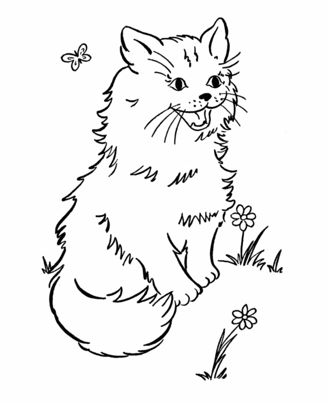 Desenho para colorir
