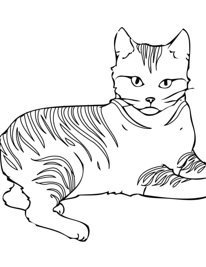 Desenho para imprimir