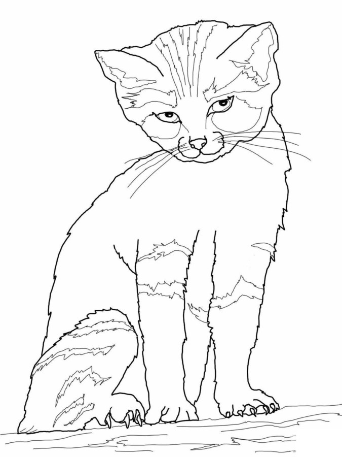 Desenho para imprimir