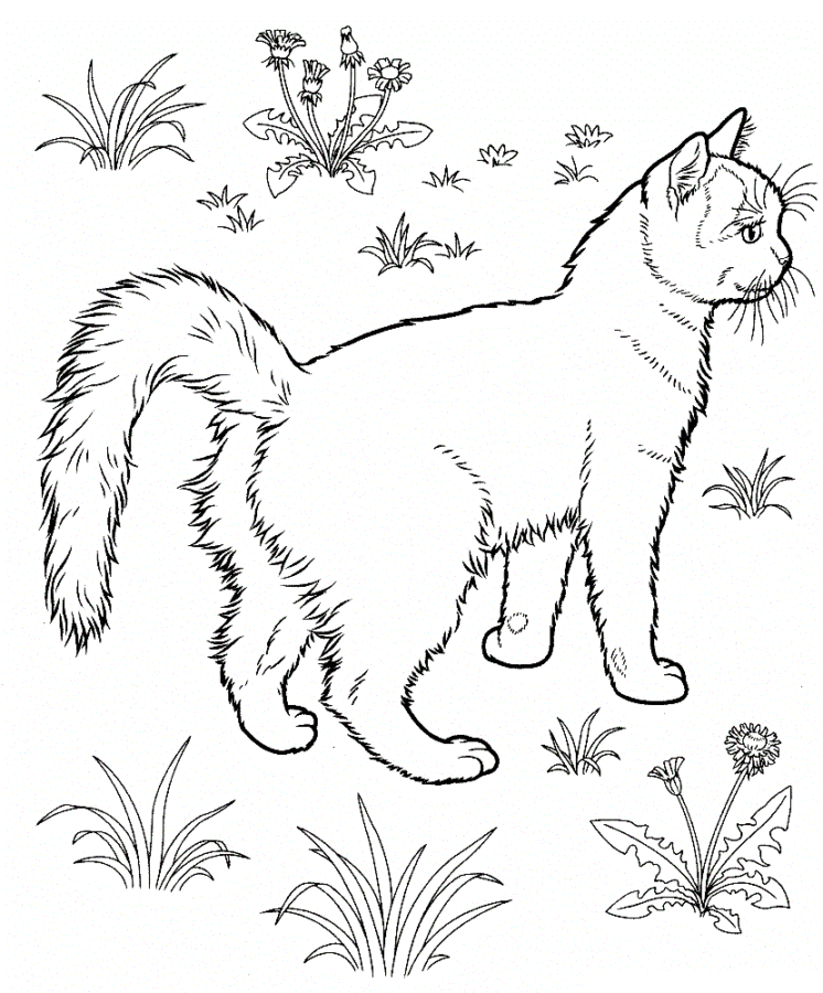 Desenho para imprimir