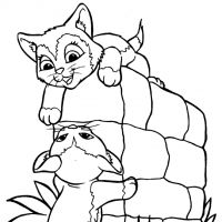 Desenhos para colorir Gatos