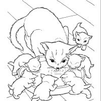 Desenhos para colorir Gatos