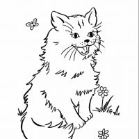 Desenhos para colorir Gatos