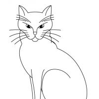 Desenhos para colorir Gatos
