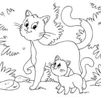 Desenhos para colorir Gatos