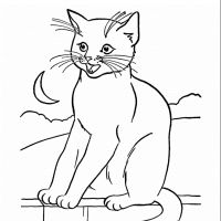 Desenhos para colorir Gatos