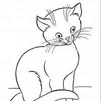 Desenhos para colorir Gatos