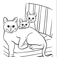 Desenhos para colorir Gatos