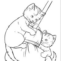 Desenhos para colorir Gatos