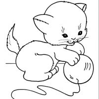 Desenhos para colorir Gatos
